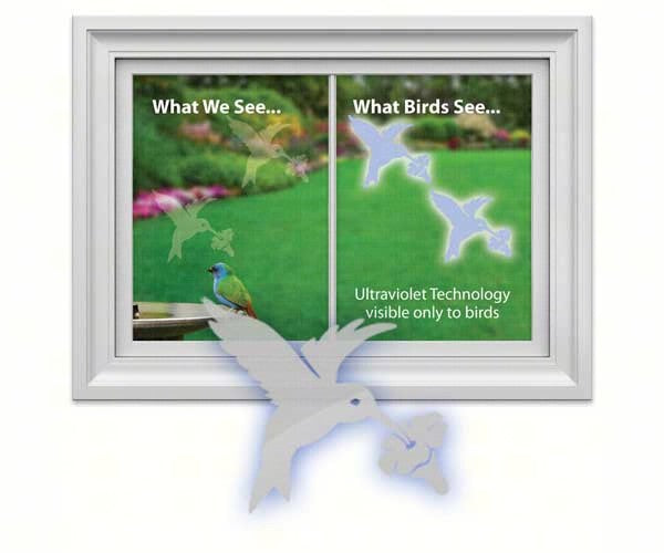 Hummingbird Window Decal by Window Alert - YourGardenStop