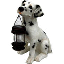 Dalmatian Dog Solar Light Lantern with Super Bright LED - YourGardenStop