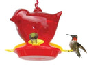 Window Red Bird Hummingbird Feeder with Hanger - YourGardenStop