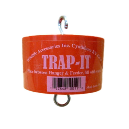 Trap-It-Ant Trap - YourGardenStop