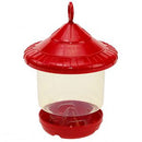 Clingers Only Bird Feeder - YourGardenStop